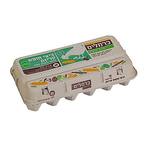 תבנית ביצי חופש 18 L