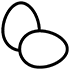 ביצים