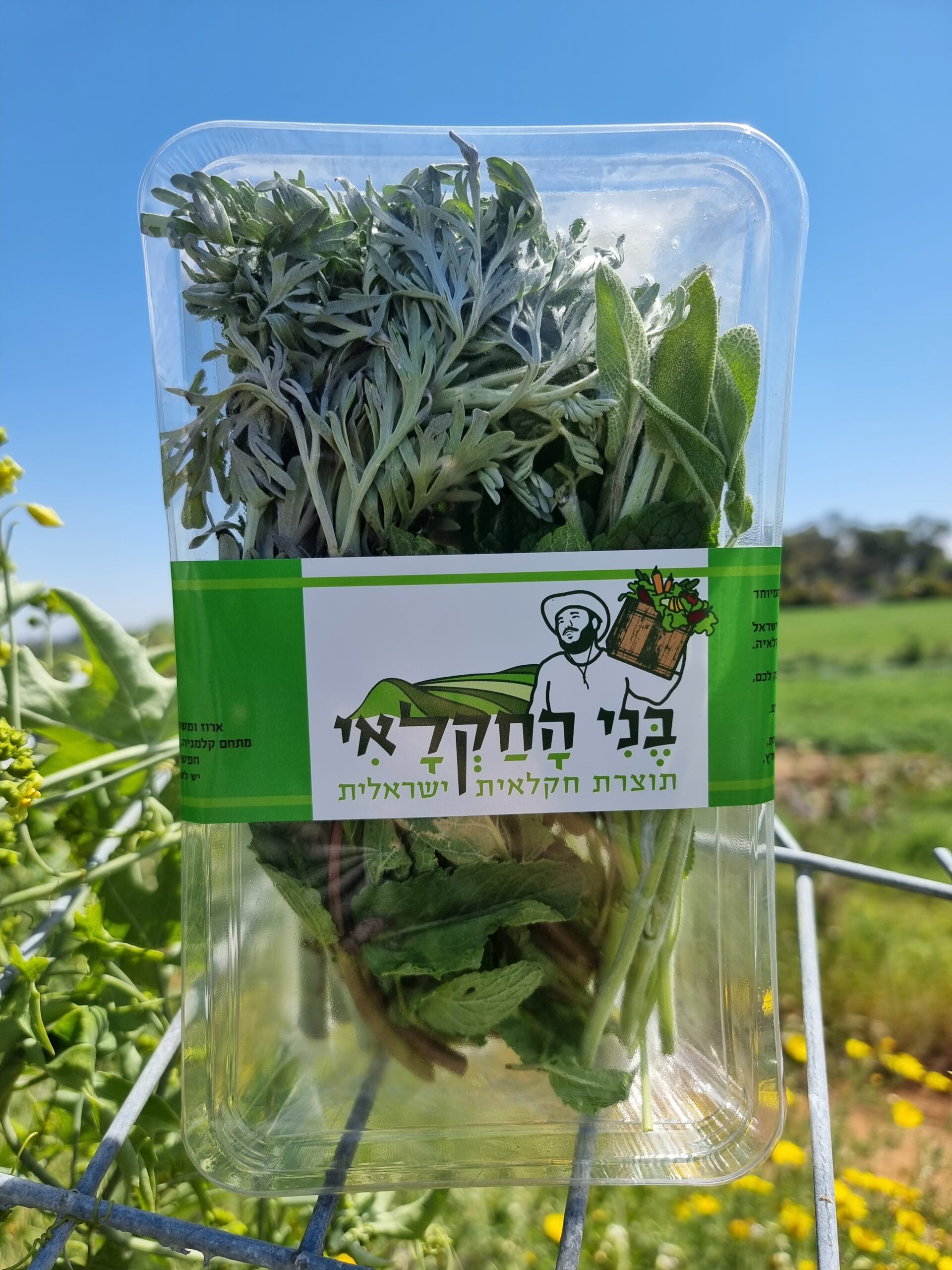 תערובת לתה