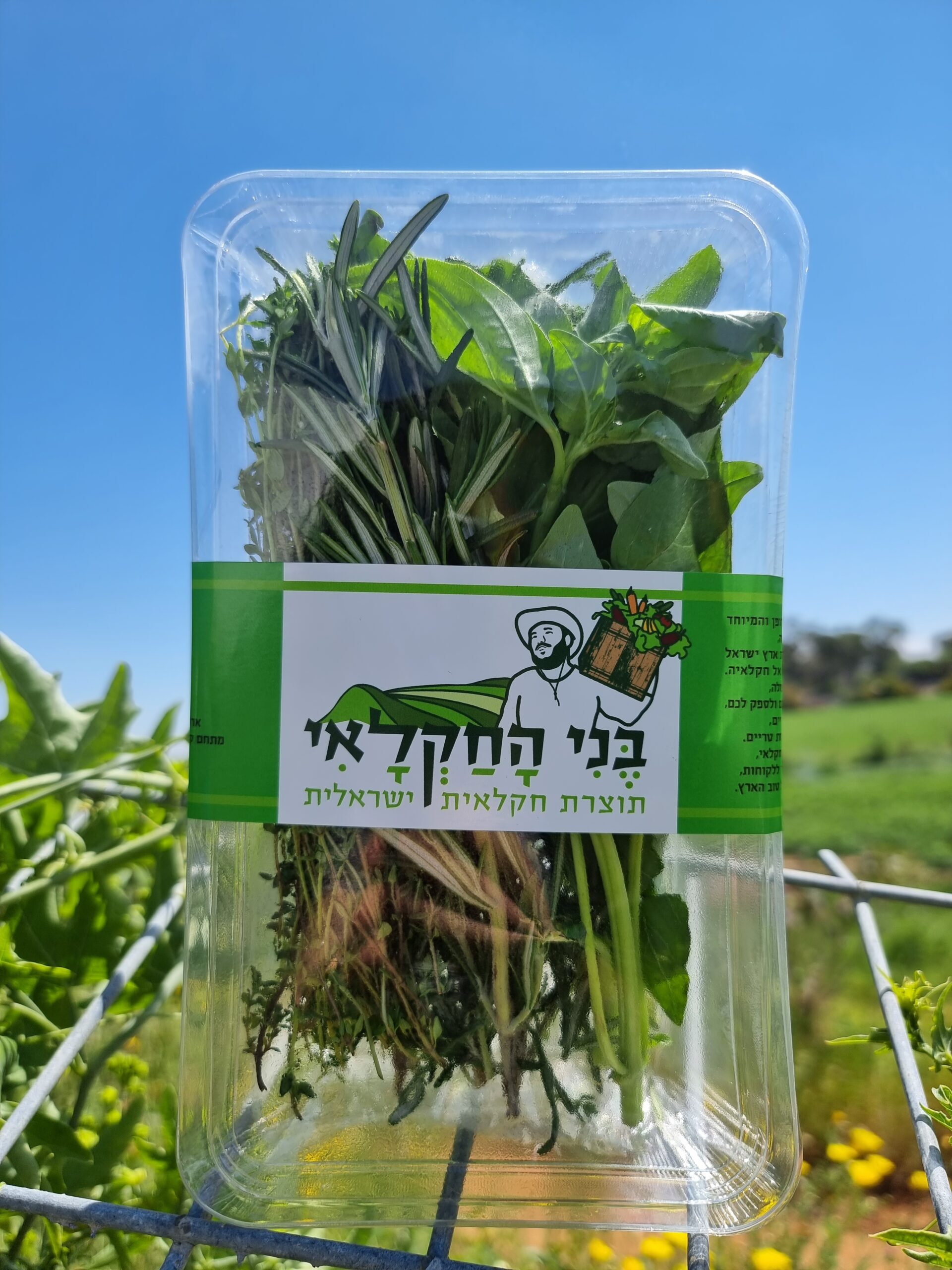 תערובת איטלקית