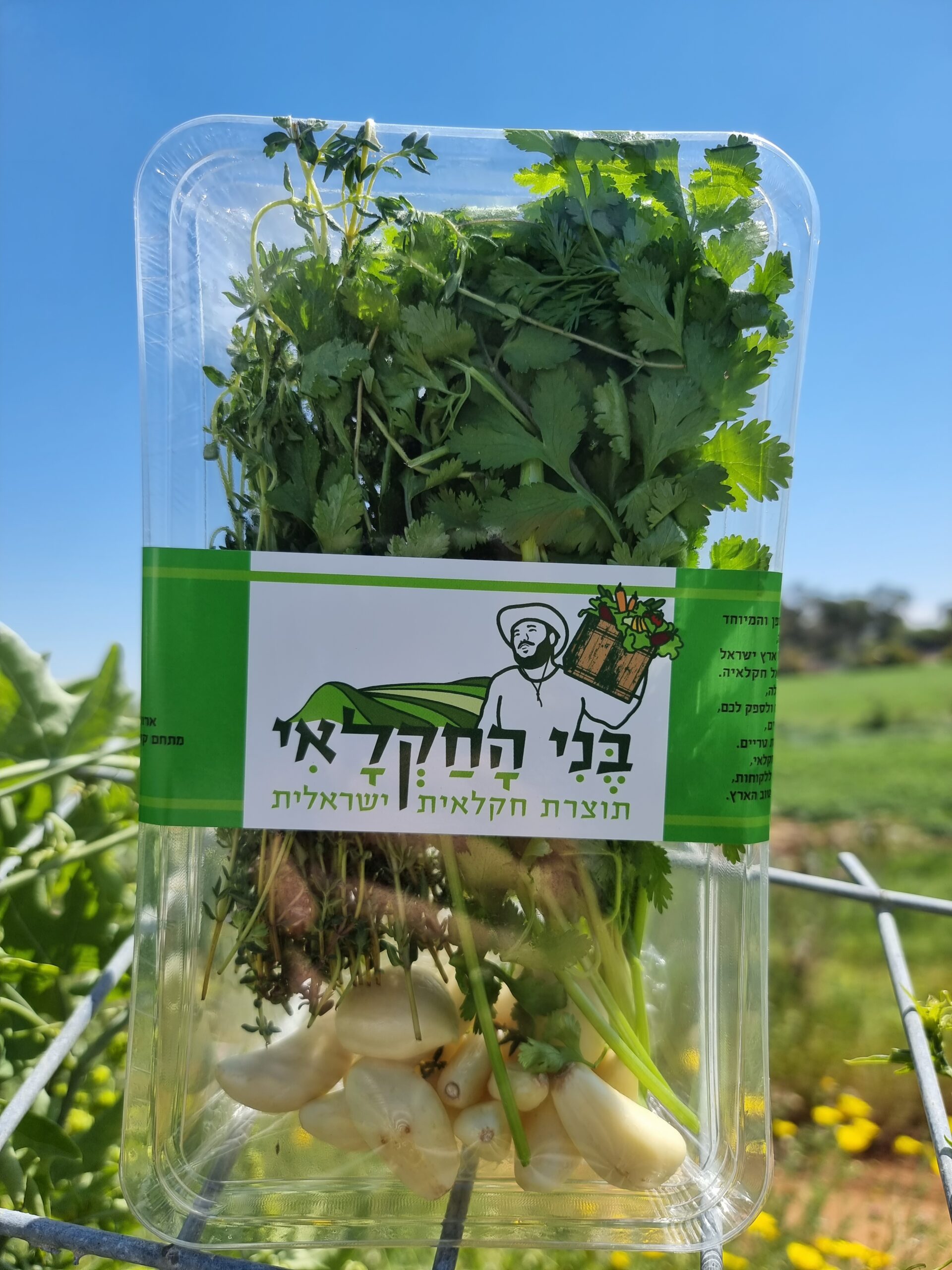 תערובת לדגים