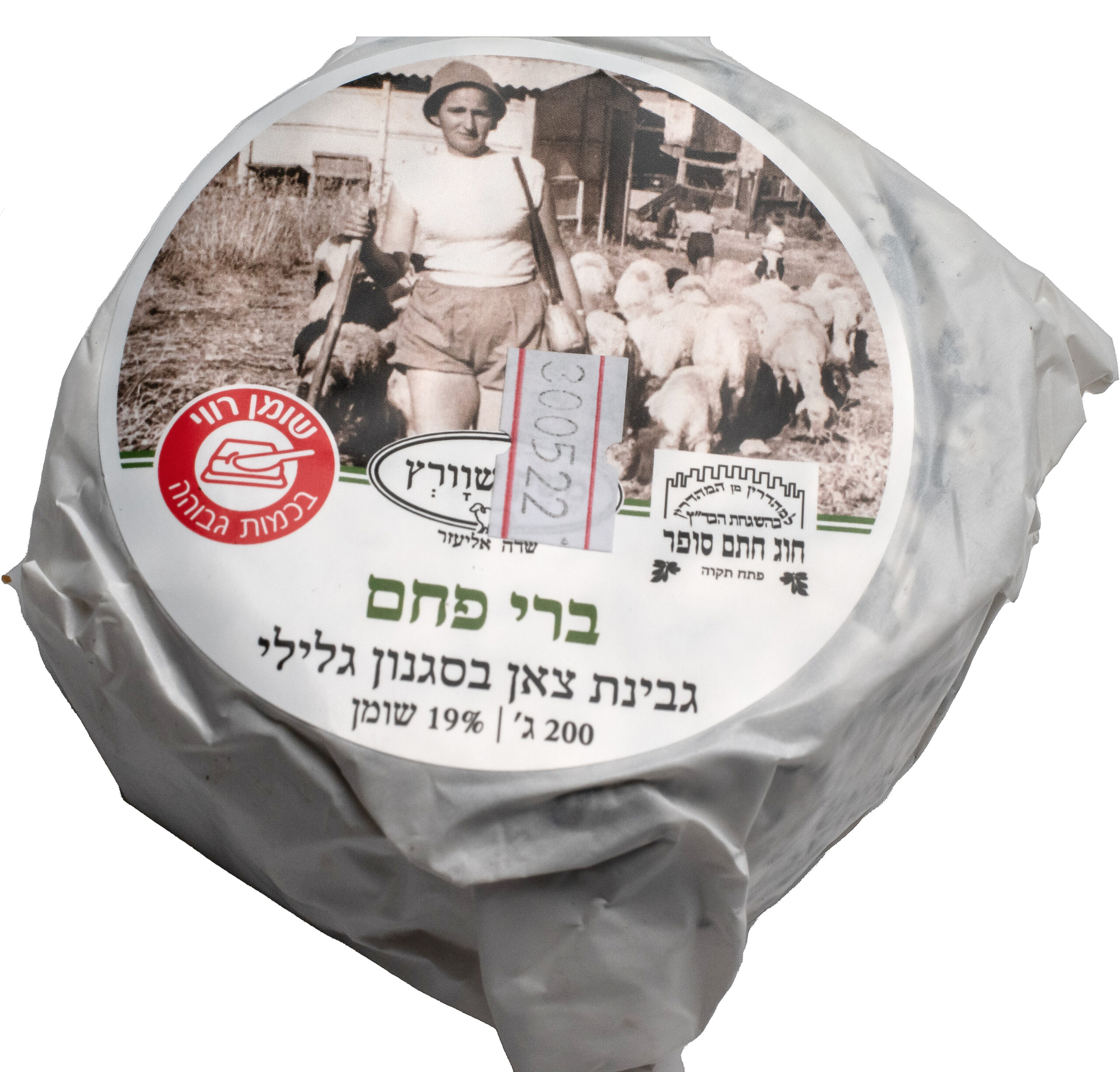 גבינת ברי פחם